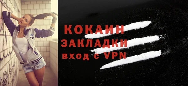 гашик Осинники