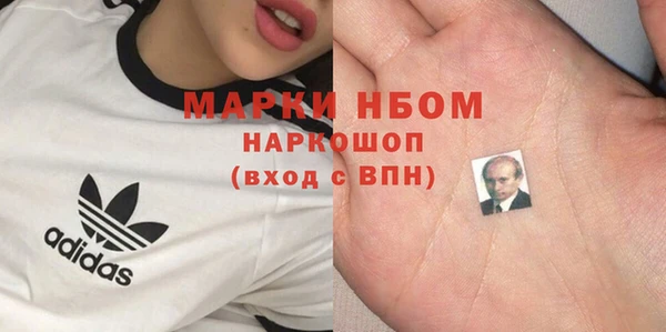 гашик Осинники