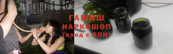 гашик Осинники