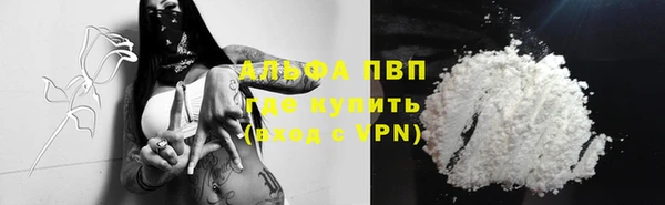 сатива Осташков