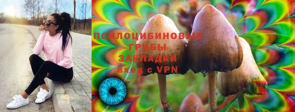 сатива Осташков