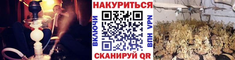 Конопля гибрид  хочу наркоту  Уржум 